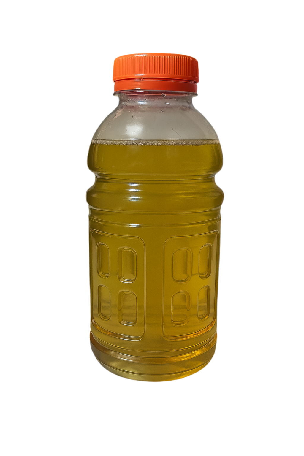 Vinegar Eel Culture - 13oz Mature Culture for Feeding Fry