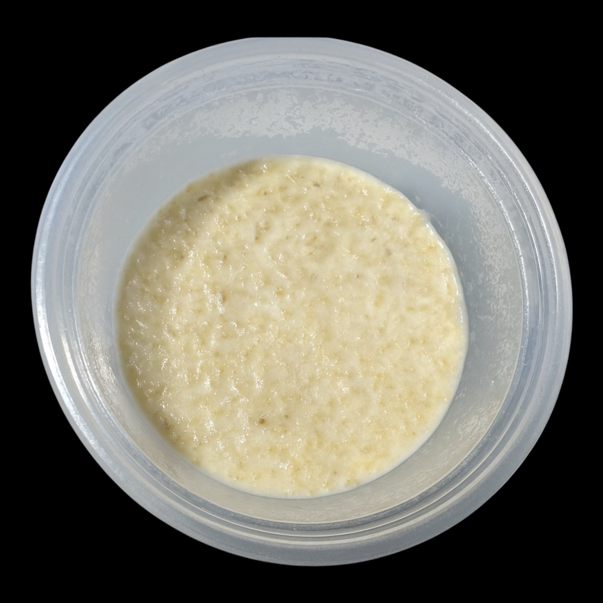 Microworm starter culture in deli cup with live nematodes on oatmeal medium, live fish food for betta fry, guppy fry, and freshwater aquarium fish.