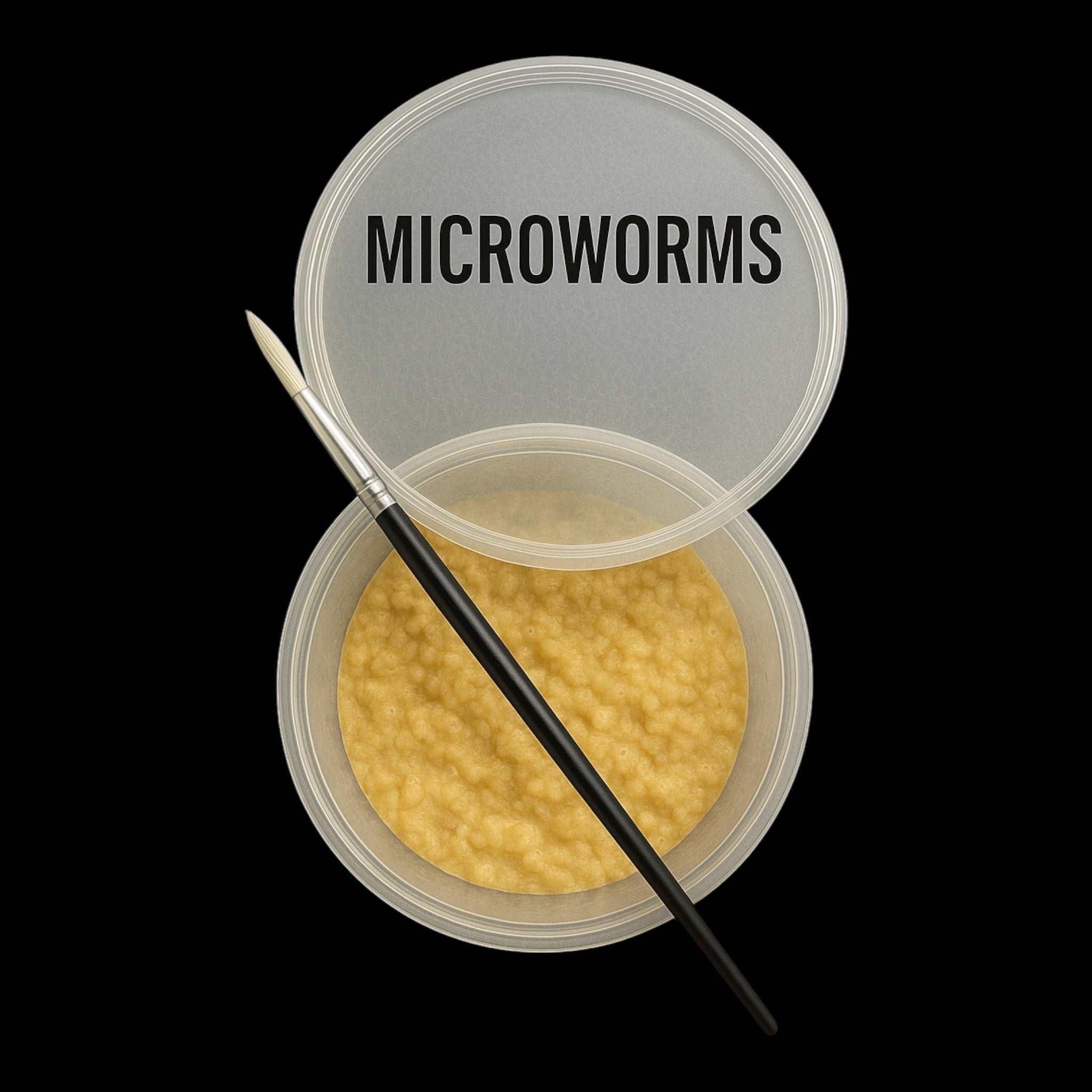 Microworm starter culture in deli cup with oatmeal medium and paintbrush for harvesting, live fish fry food for betta fry, guppies, and freshwater aquariums.