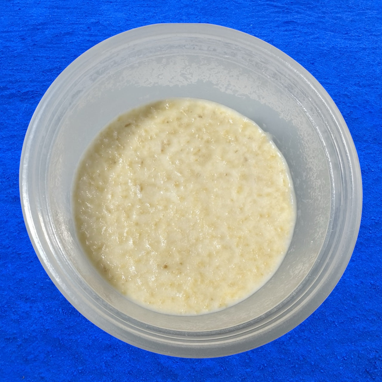 Live Microworm Starter Culture