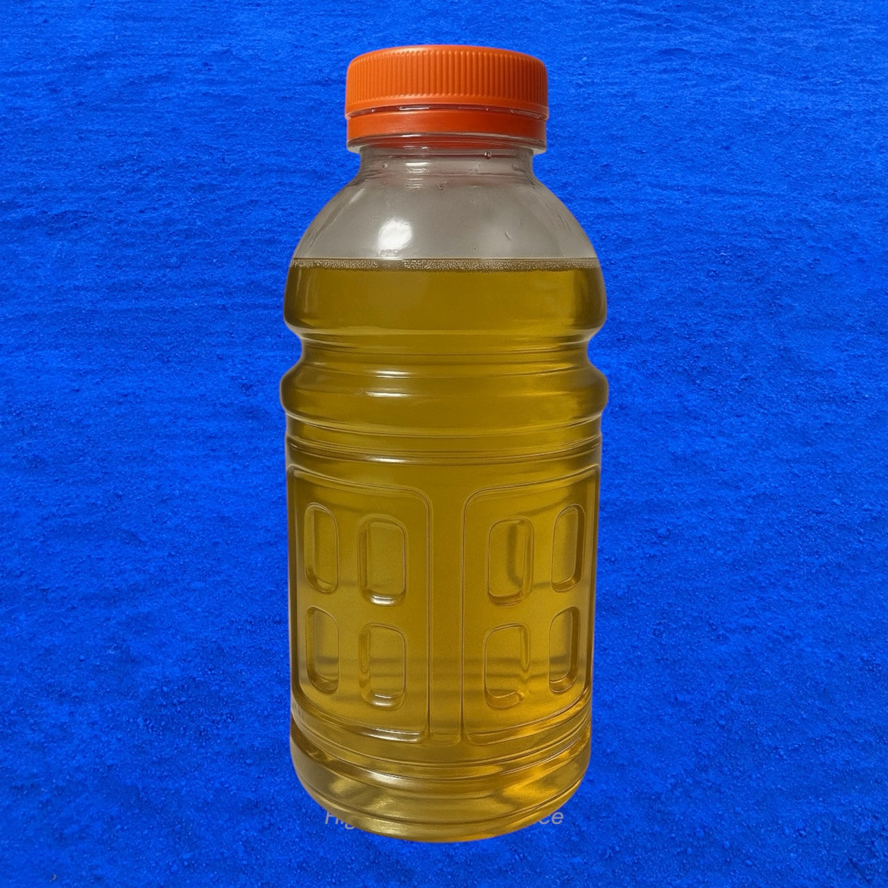 Vinegar Eel Culture - 13oz Mature Culture for Feeding Fry